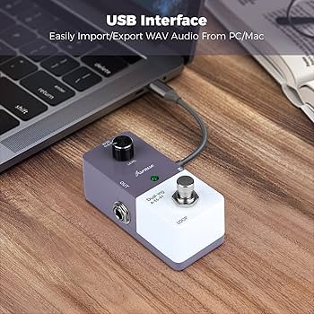 Akkusativ RDRPT feedback looper 未使用品 Akkusativ RDRPT feedback looper 未使用品